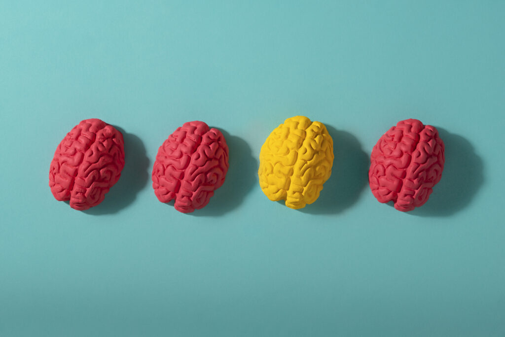 still-life-with-human-brains